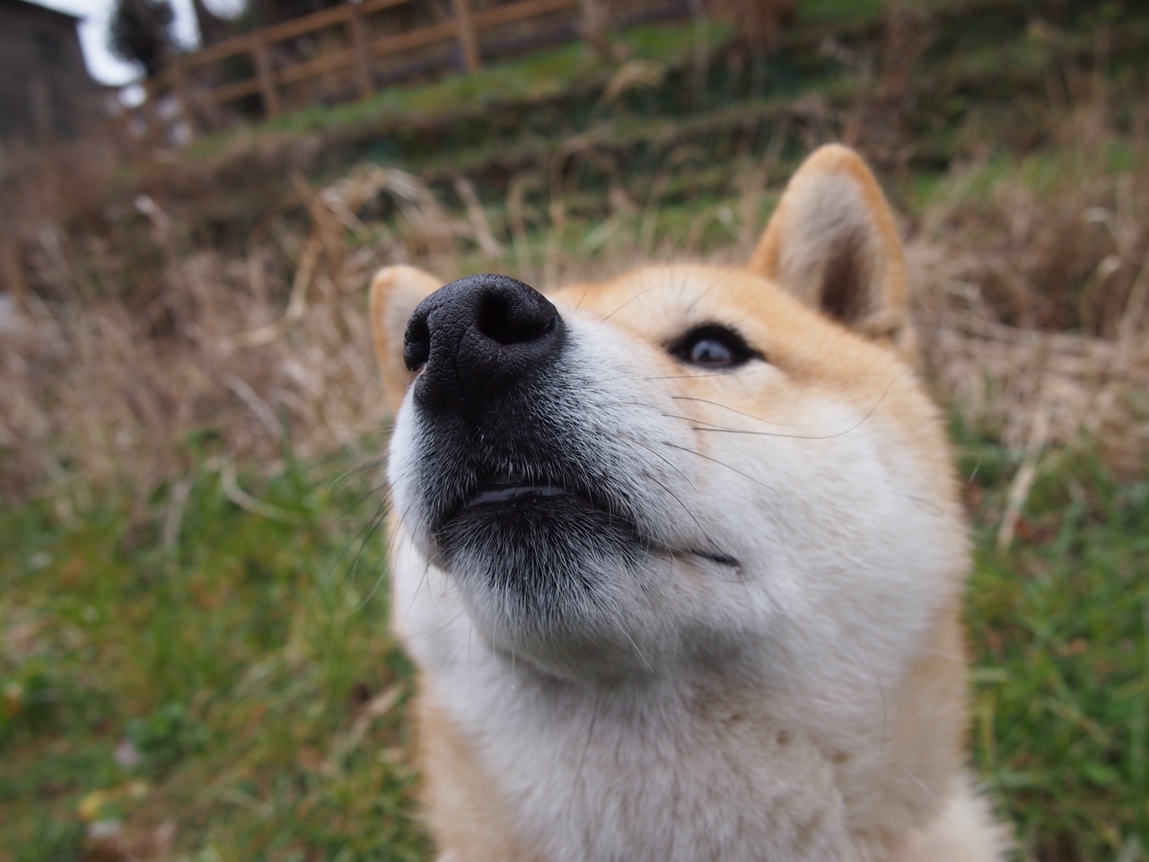 当广厦的绝杀划过底特律夜空,一场跨越太平洋的篮球寓言