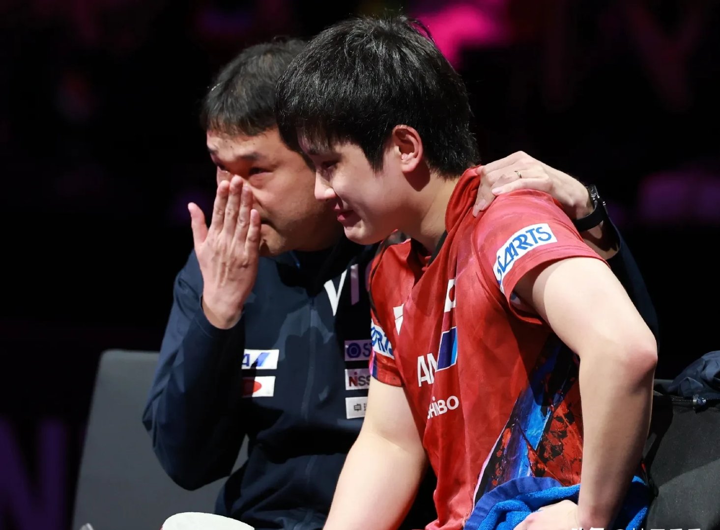 波兰队绝杀法国队,张本智和状态火热 波兰队绝杀法国队,张本智和状态火热